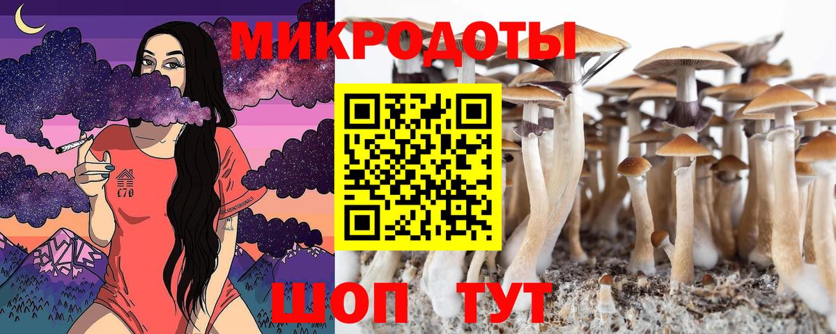 Галлюциногенные грибы Psilocybe  Вход с VPN  Лабытнанги 