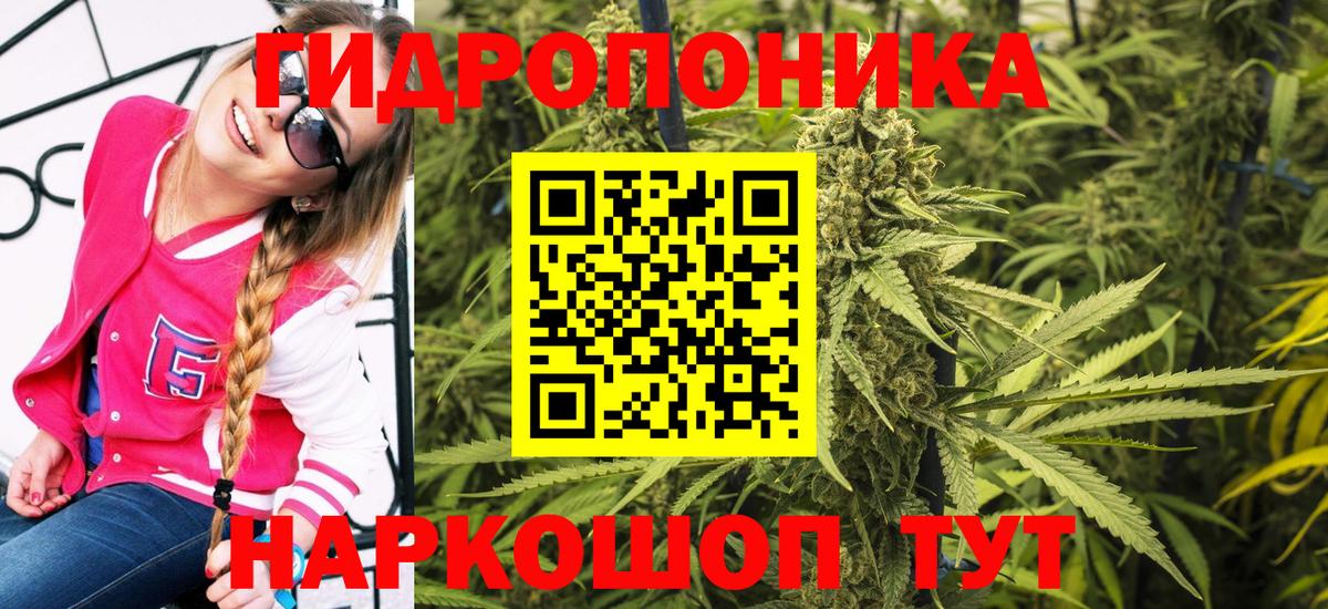 Канабис гибрид  Конопля ГИДРОПОН  Лабытнанги  Вход с VPN  Канабис LSD WEED 